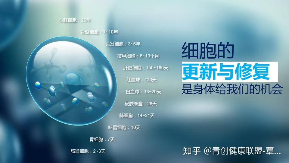 皮肤细胞再生技术:焕活肌肤的科技密码(图1)