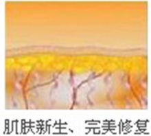 从“回春针剂”到“逆龄补药”抗衰产品背后的科学真相(图1)